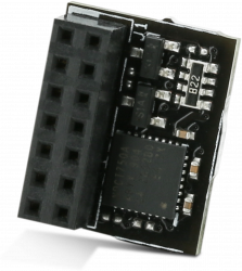 TPM-SPI Trusted Platform Module